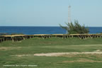 DSC_4816.jpg (50,877 bytes)
