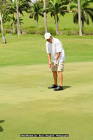 DSC_0415.jpg (107,533 bytes)